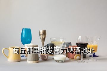 喜力啤酒河南經(jīng)銷商,青島喜力啤酒怎么樣